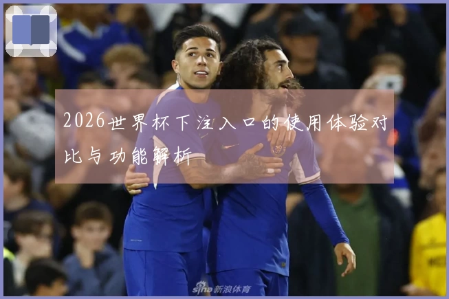 2026世界杯下注入口的使用体验对比与功能解析