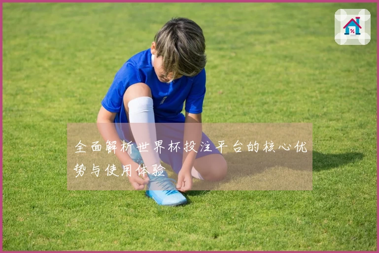 全面解析世界杯投注平台的核心优势与使用体验